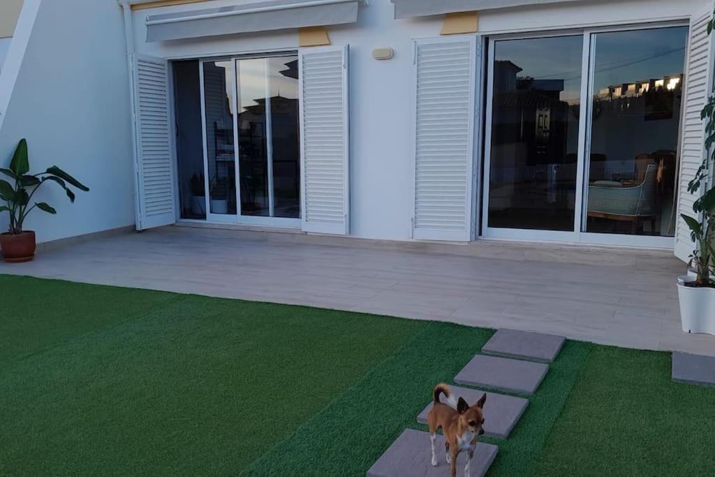 فيلا Gale Premium House - Pet Friendly البوفيرا المظهر الخارجي الصورة