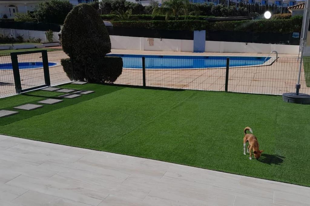 فيلا Gale Premium House - Pet Friendly البوفيرا المظهر الخارجي الصورة