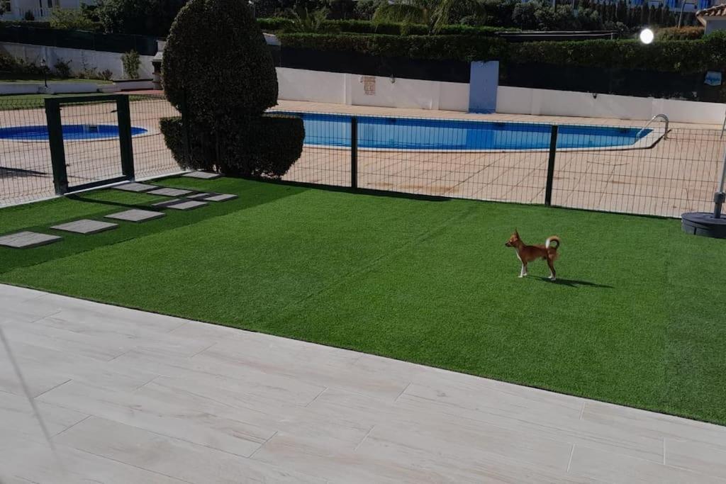 فيلا Gale Premium House - Pet Friendly البوفيرا المظهر الخارجي الصورة